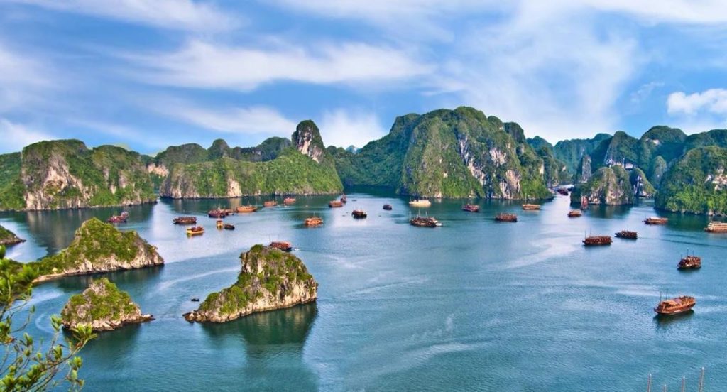 1102165465489805-view-1024x552